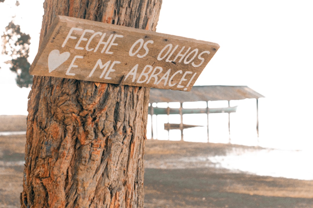 O Que Se Abre em Nós — Sofia Dias & Vítor Roriz