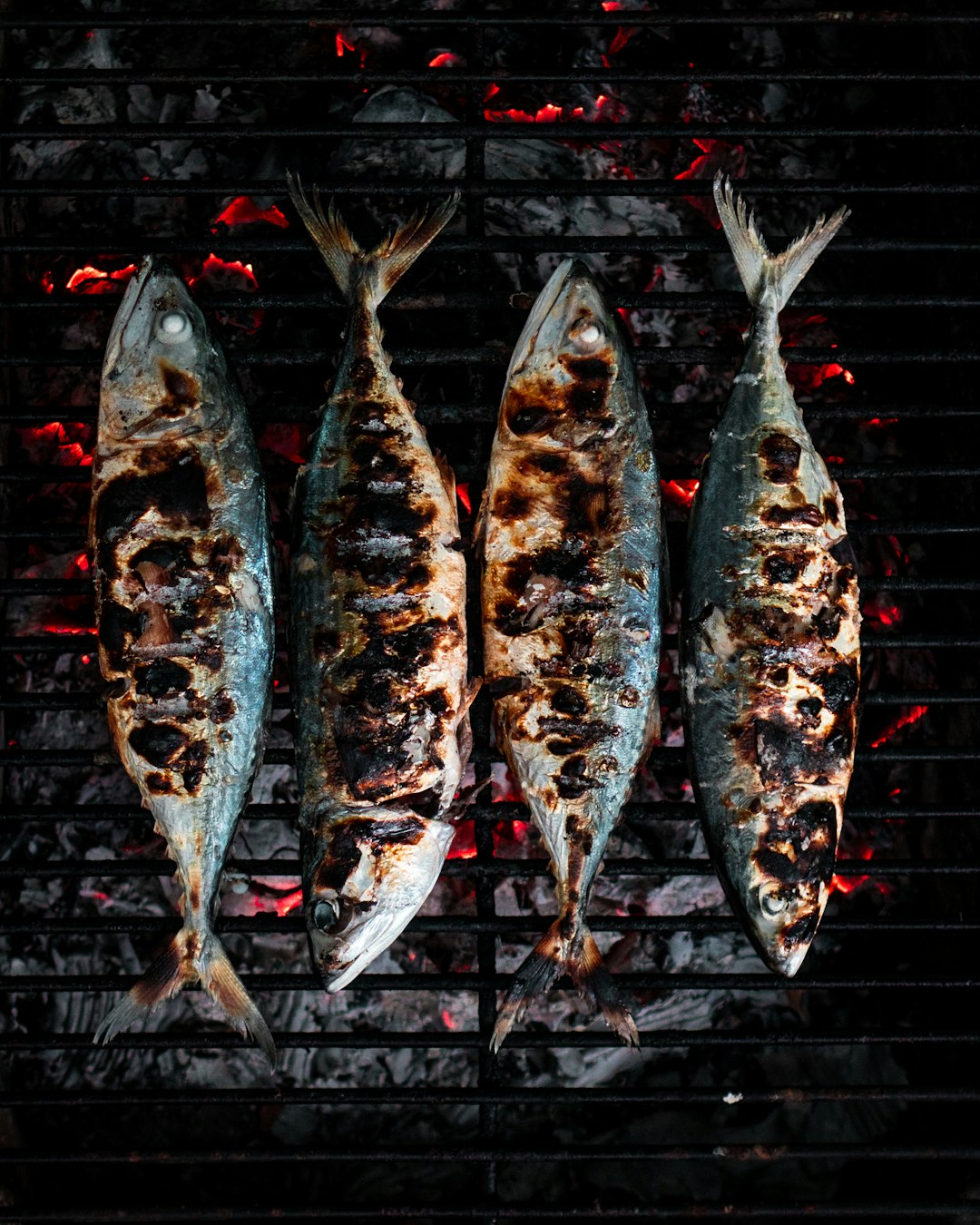 Festival da Sardinha