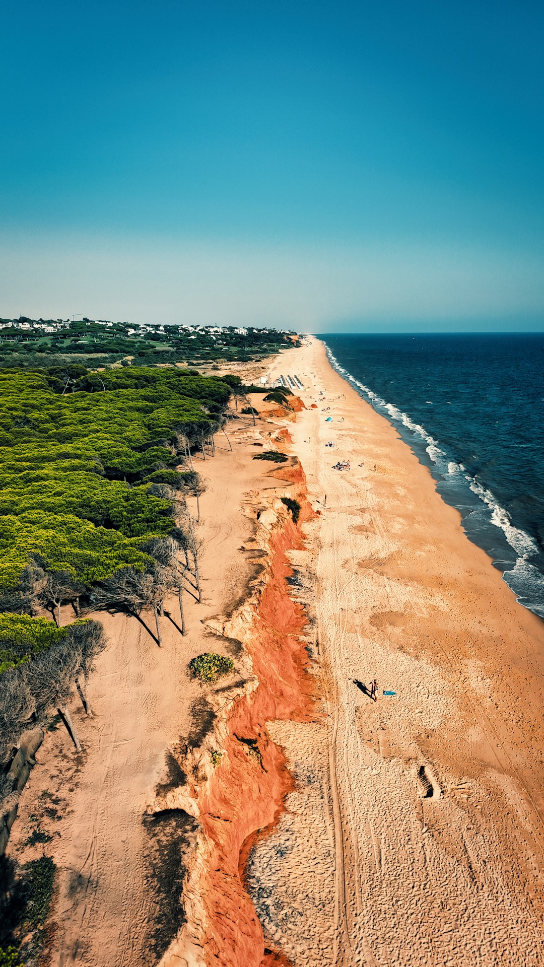 Corrida Algarve 2026