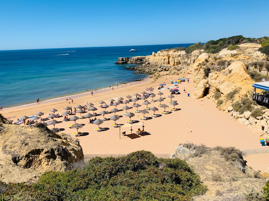 people on beach during daytime